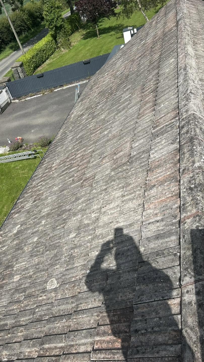 Roof Cleaning